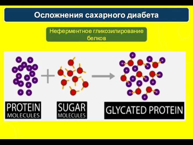 Осложнения сахарного диабета Неферментное гликозилирование белков