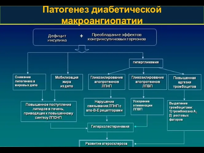 Патогенез диабетической макроангиопатии