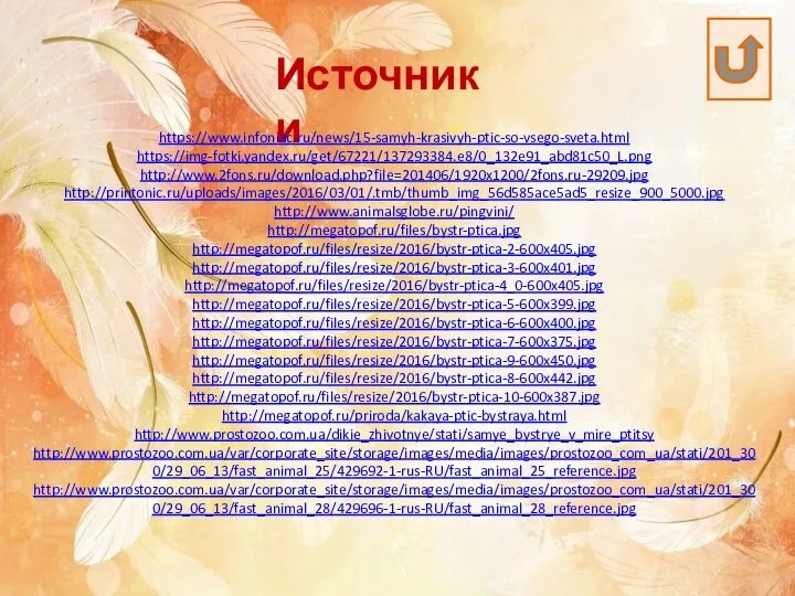 Источники https://www.infoniac.ru/news/15-samyh-krasivyh-ptic-so-vsego-sveta.html https://img-fotki.yandex.ru/get/67221/137293384.e8/0_132e91_abd81c50_L.png http://www.2fons.ru/download.php?file=201406/1920x1200/2fons.ru-29209.jpg http://printonic.ru/uploads/images/2016/03/01/.tmb/thumb_img_56d585ace5ad5_resize_900_5000.jpg http://www.animalsglobe.ru/pingvini/ http://megatopof.ru/files/bystr-ptica.jpg http://megatopof.ru/files/resize/2016/bystr-ptica-2-600x405.jpg http://megatopof.ru/files/resize/2016/bystr-ptica-3-600x401.jpg http://megatopof.ru/files/resize/2016/bystr-ptica-4_0-600x405.jpg http://megatopof.ru/files/resize/2016/bystr-ptica-5-600x399.jpg http://megatopof.ru/files/resize/2016/bystr-ptica-6-600x400.jpg