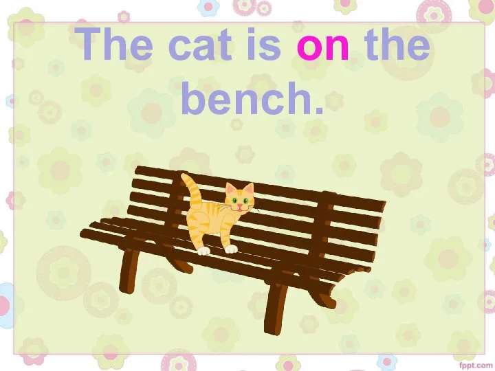 The cat is on the bench.
