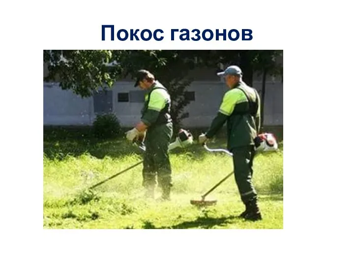 Покос газонов