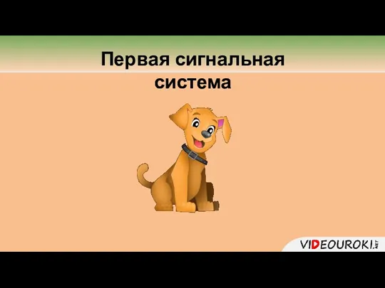 Первая сигнальная система