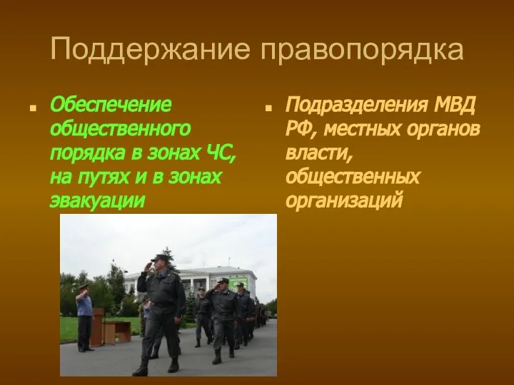 Поддержание правопорядка Обеспечение общественного порядка в зонах ЧС, на путях и в