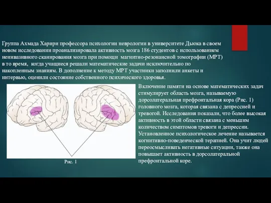 Группа Ахмада Харири профессора психологии неврологии в университете Дьюка в своем новом