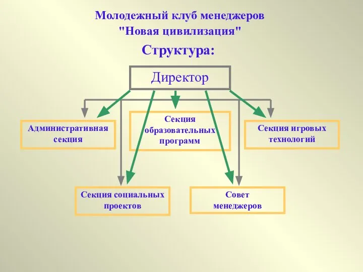 Молодежный клуб менеджеров "Новая цивилизация" Структура: Директор Административная секция Секция социальных проектов