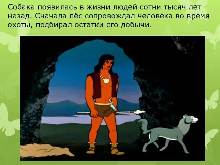 Собака появилась в жизни людей сотни тысяч лет назад. Сначала пёс сопровождал