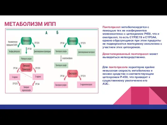 МЕТАБОЛИЗМ ИПП Пантопразол метаболизируется с помощью тех же изоферментов монооксигеназ с цитохромом