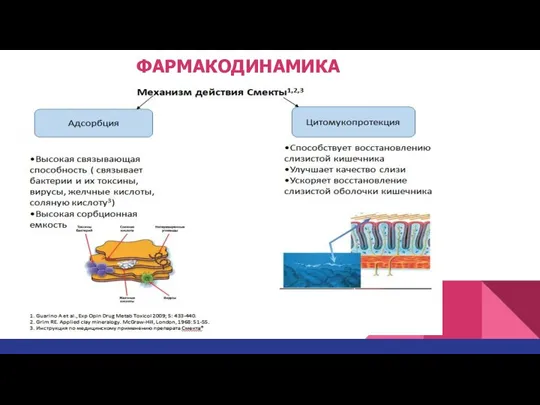 ФАРМАКОДИНАМИКА