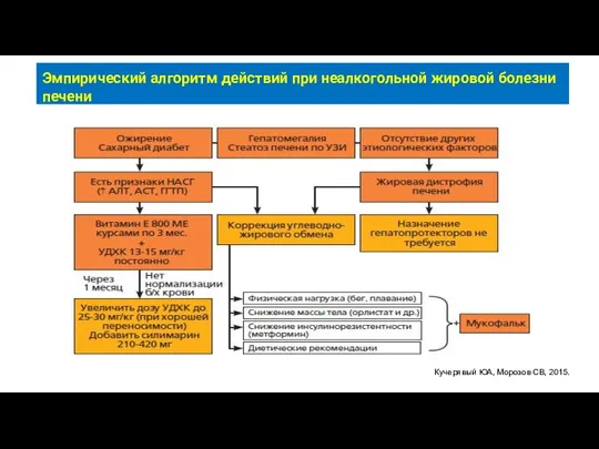 Эмпирический алгоритм действий при неалкогольной жировой болезни печени Кучерявый ЮА, Морозов СВ, 2015.