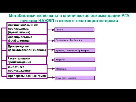 Метабиотики включены в клинические рекомендации РГА лечения НАЖБП в схеме с гепатопротекторами