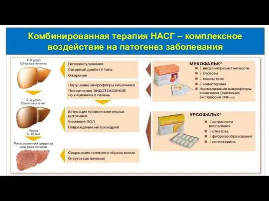 Комбинированная терапия НАСГ – комплексное воздействие на патогенез заболевания