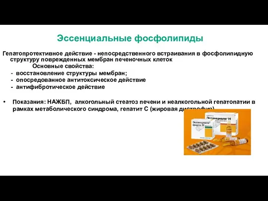 Эссенциальные фосфолипиды Гепатопротективное действие - непосредственного встраивания в фосфолипидную структуру поврежденных мембран