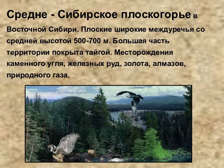 Средне - Сибирское плоскогорье в Восточной Сибири. Плоские широкие междуречья со средней