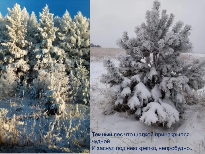 Темный лес что шапкой принакрылся чудной И заснул под нею крепко, непробудно…