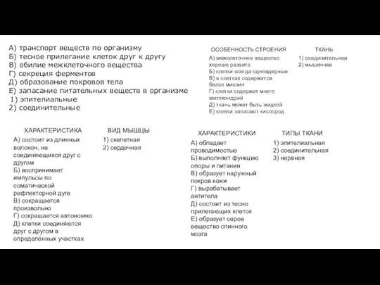 А) транспорт веществ по организму Б) тесное прилегание клеток друг к другу