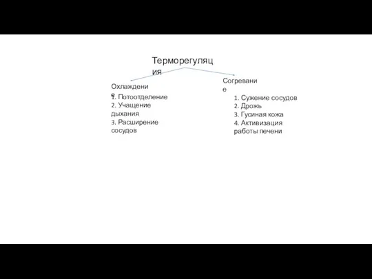 Терморегуляция Охлаждение Согревание 1. Потоотделение 2. Учащение дыхания 3. Расширение сосудов 1.