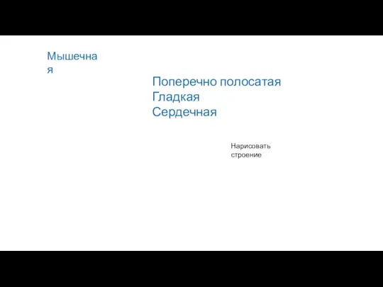 Мышечная Поперечно полосатая Гладкая Сердечная Нарисовать строение