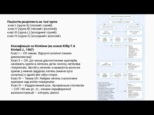 Пацієнтів розділяють на такі групи: клас I (група A) (теплий і сухий);