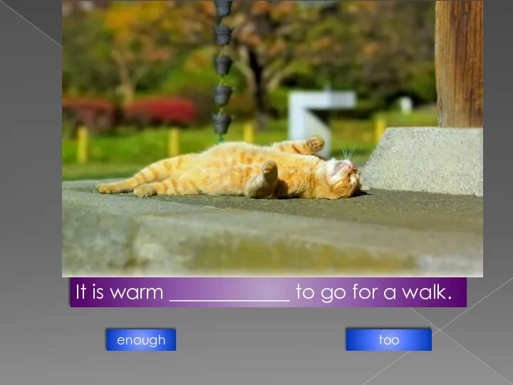 It is warm ____________ to go for a walk. too enough
