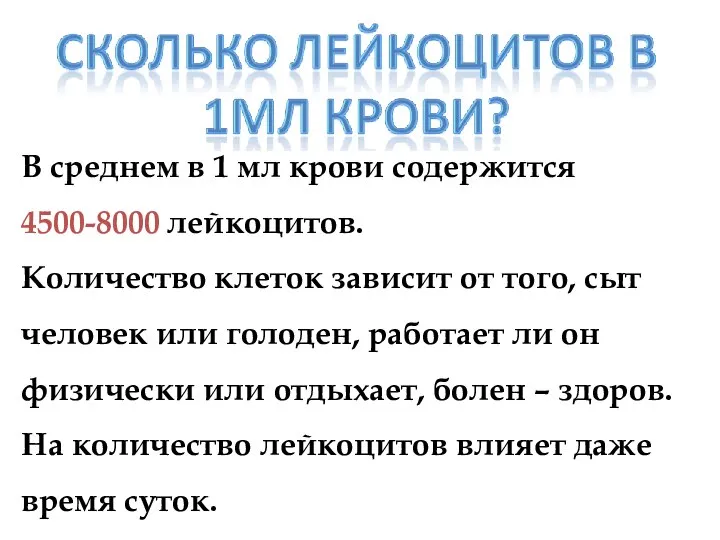 В среднем в 1 мл крови содержится 4500-8000 лейкоцитов. Количество клеток зависит