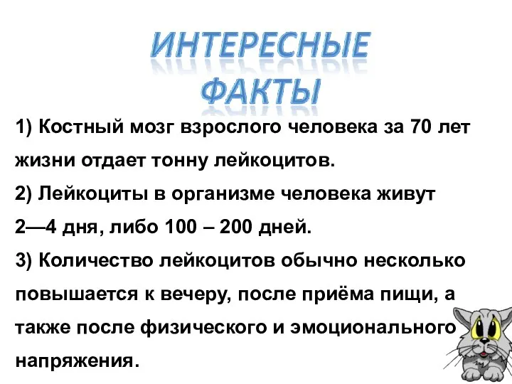 1) Костный мозг взрослого человека за 70 лет жизни отдает тонну лейкоцитов.