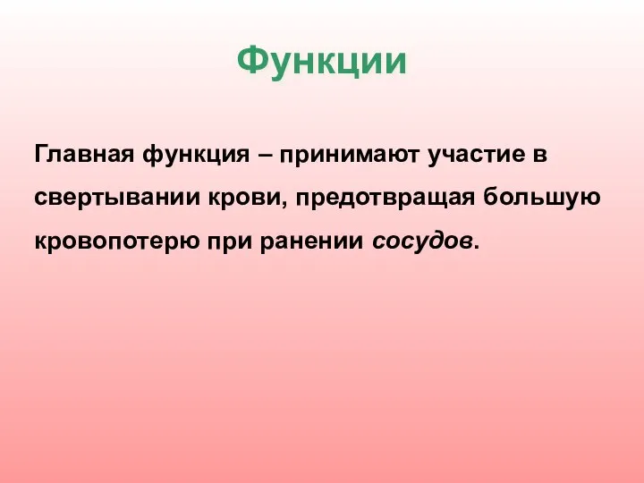 Функции Главная функция – принимают участие в свертывании крови, предотвращая большую кровопотерю при ранении сосудов.