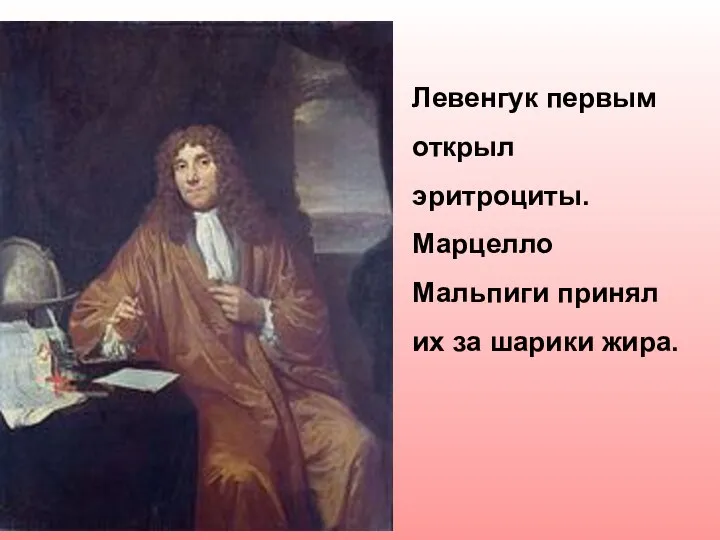 Левенгук первым открыл эритроциты. Марцелло Мальпиги принял их за шарики жира.