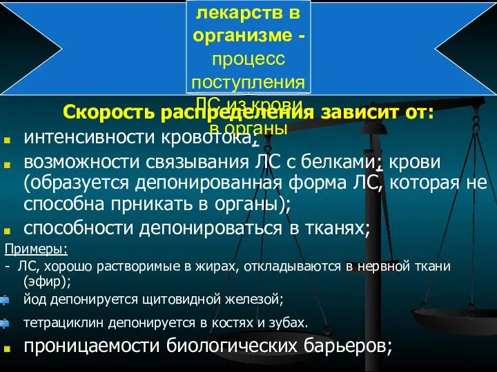 Распределение лекарств в организме - процесс поступления ЛС из крови в органы