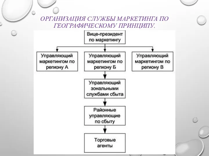 ОРГАНИЗАЦИЯ СЛУЖБЫ МАРКЕТИНГА ПО ГЕОГРАФИЧЕСКОМУ ПРИНЦИПУ.