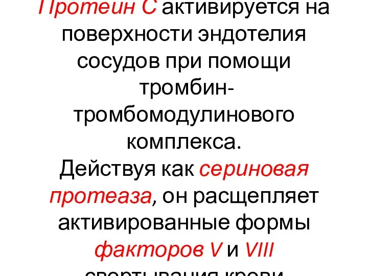 Протеин С активируется на поверхности эндотелия сосудов при помощи тромбин-тромбомодулинового комплекса. Действуя