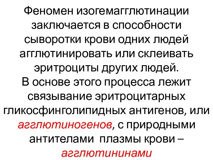 Феномен изогемагглютинации заключается в способности сыворотки крови одних людей агглютинировать или склеивать