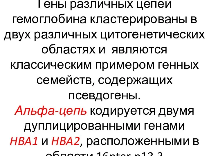 Гены различных цепей гемоглобина кластерированы в двух различных цитогенетических областях и являются