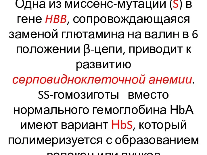 Одна из миссенс-мутаций (S) в гене HBB, сопровождающаяся заменой глютамина на валин