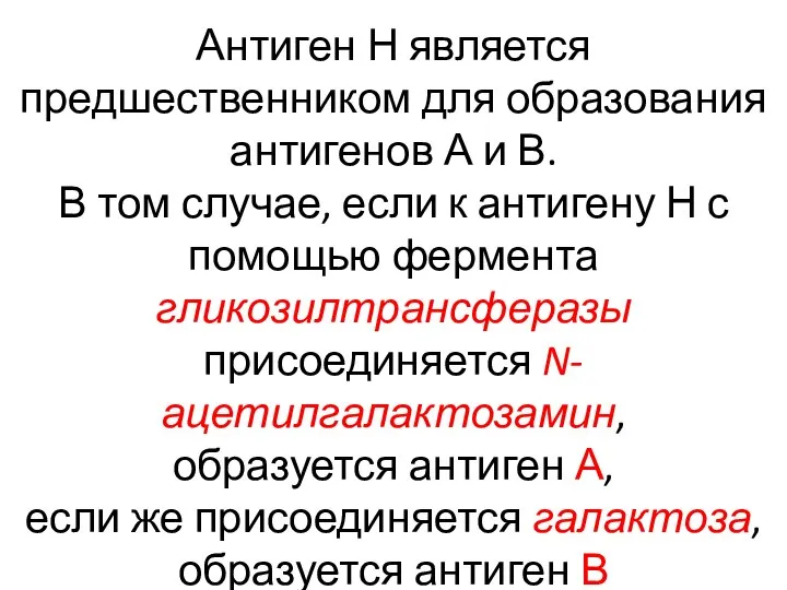 Антиген Н является предшественником для образования антигенов А и В. В том