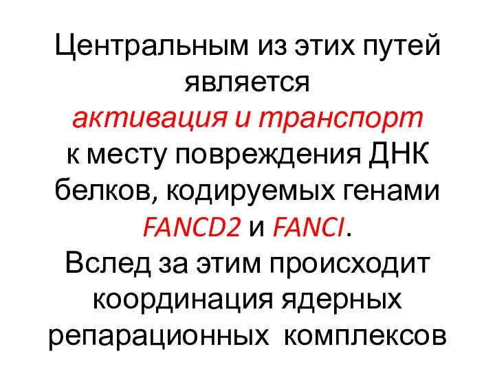 Центральным из этих путей является активация и транспорт к месту повреждения ДНК