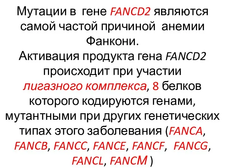 Мутации в гене FANCD2 являются самой частой причиной анемии Фанкони. Активация продукта