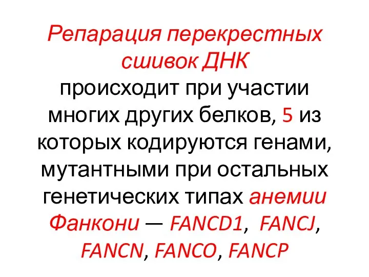 Репарация перекрестных сшивок ДНК происходит при участии многих других белков, 5 из