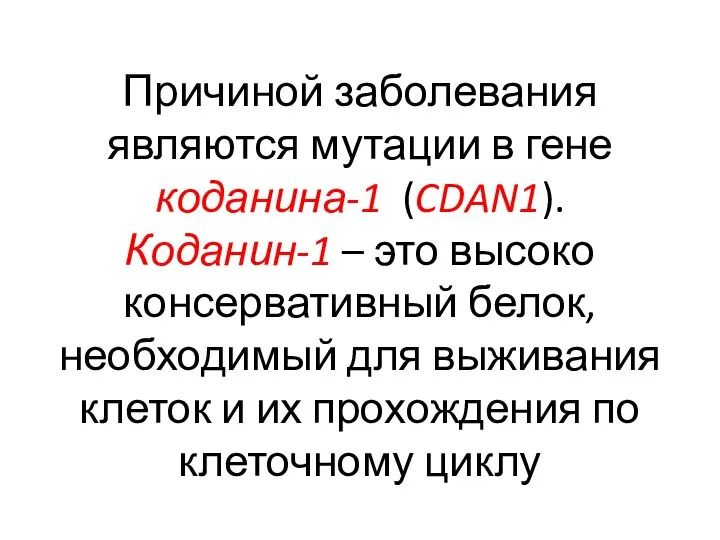 Причиной заболевания являются мутации в гене коданина-1 (CDAN1). Коданин-1 – это высоко