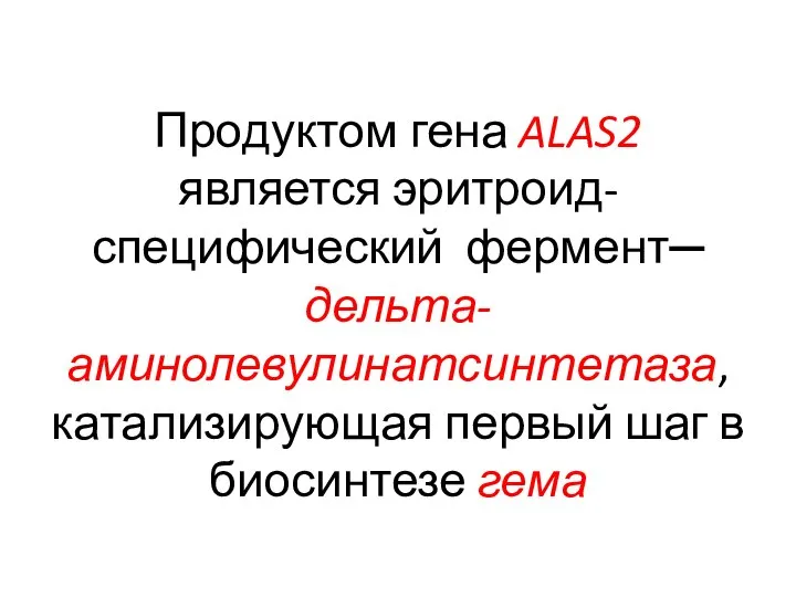 Продуктом гена ALAS2 является эритроид-специфический фермент – дельта-аминолевулинатсинтетаза, катализирующая первый шаг в биосинтезе гема