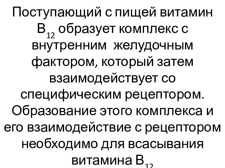 Поступающий с пищей витамин В12 образует комплекс с внутренним желудочным фактором, который