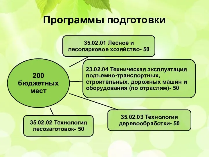 Программы подготовки