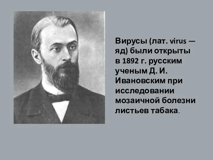 Вирусы (лат. virus — яд) были открыты в 1892 г. русским ученым