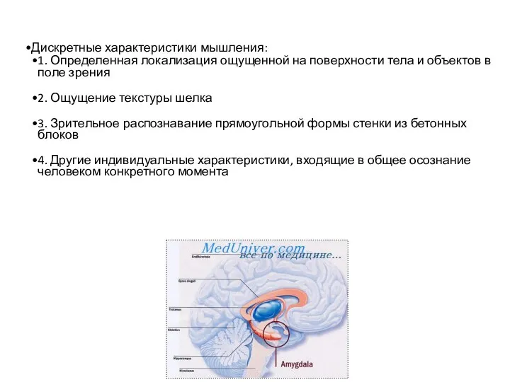 Дискретные характеристики мышления: 1. Определенная локализация ощущенной на поверхности тела и объектов