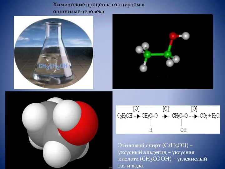 Химические процессы со спиртом в организме человека Этиловый спирт (С2Н5ОН) – уксусный
