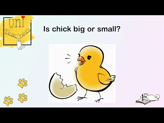 Is chick big or small?