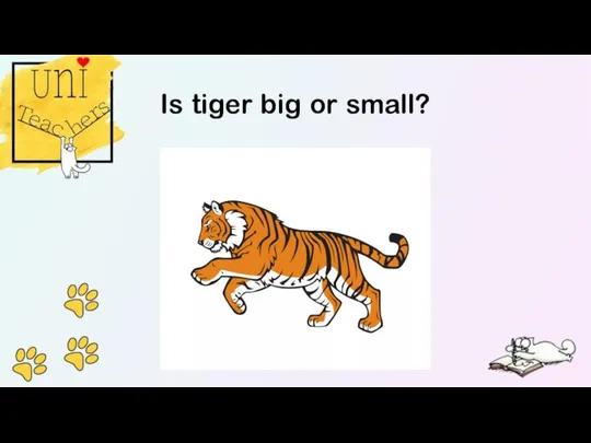 Is tiger big or small?