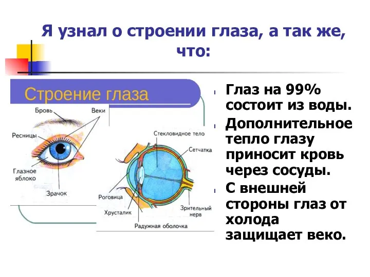 Я узнал о строении глаза, а так же, что: Глаз на 99%