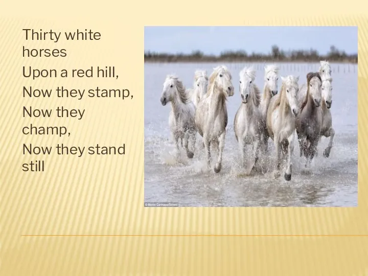 Thirty white horses Upon a red hill, Now they stamp, Now they