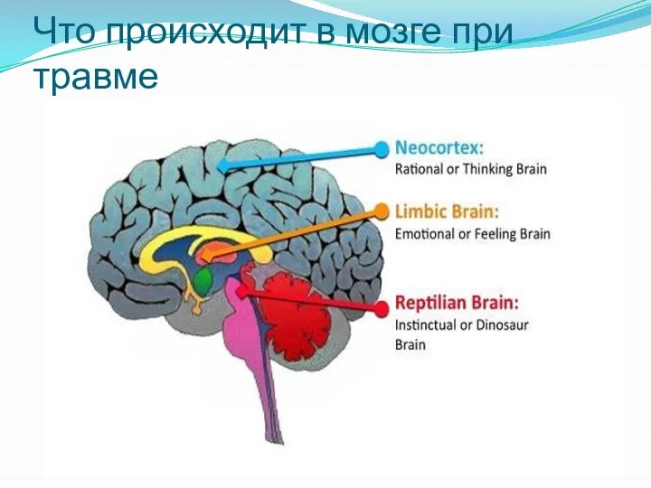 Что происходит в мозге при травме