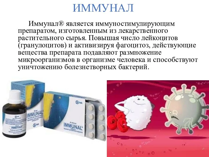 ИММУНАЛ Иммунал® является иммуностимулирующим препаратом, изготовленным из лекарственного растительного сырья. Повышая число